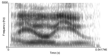 A spectrogram of the phrase I owe you.