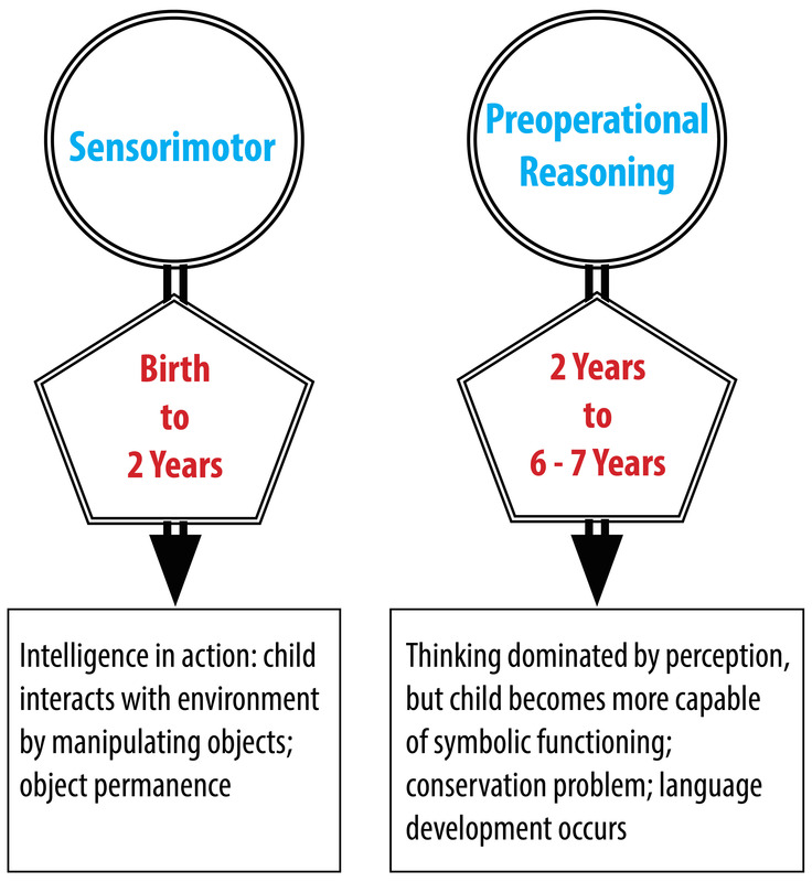 cognitive-development-psyc341